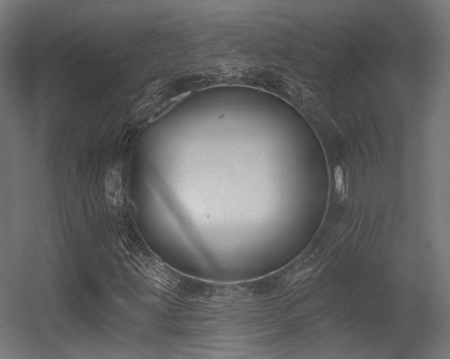 X0000056311203200509021528