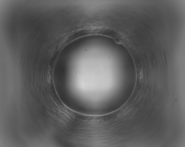 X0000056311204200509021528