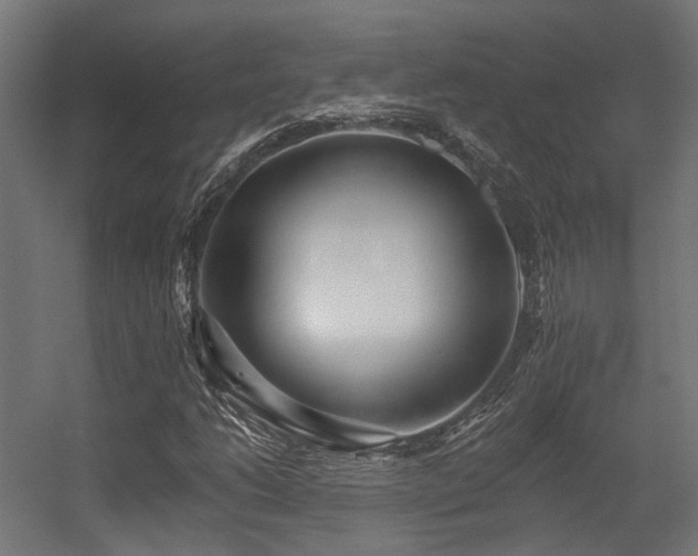 X0000056311206200509021528