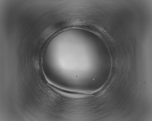 X0000056311209200509021528