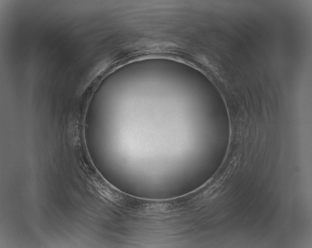 X0000056311211200509021528
