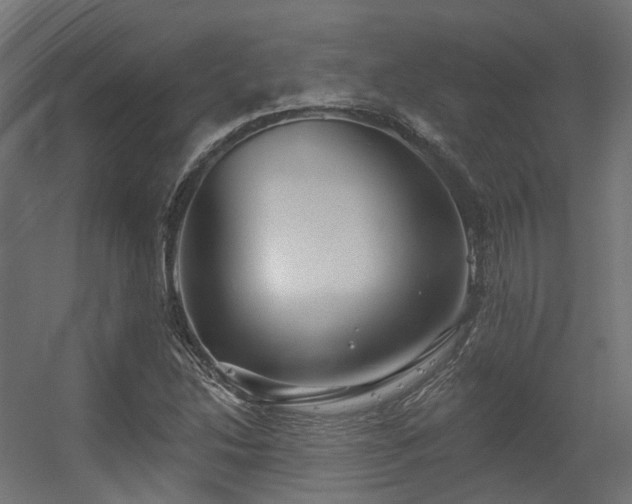 X0000056311214200509021528
