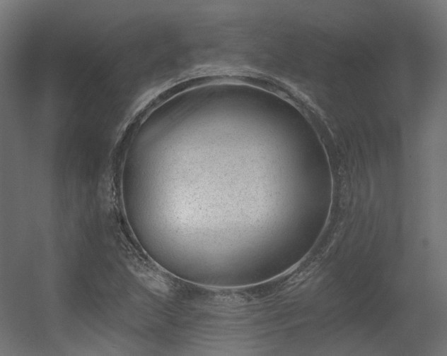 X0000056311215200509021528