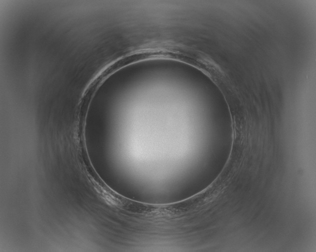 X0000056311216200509021528