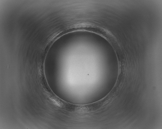 X0000056311217200509021528