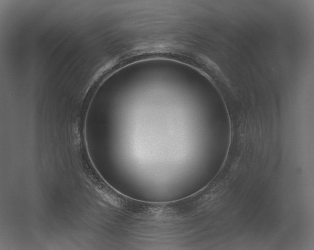 X0000056311218200509021528