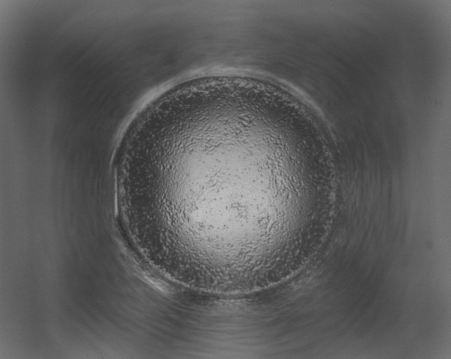 X0000056311223200509021528