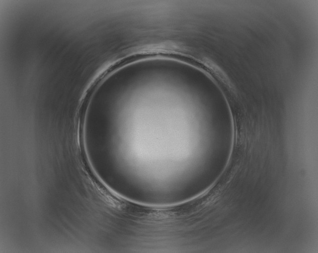 X0000056311224200509021528