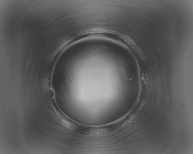 X0000056311225200509021528