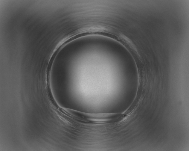 X0000056311226200509021528