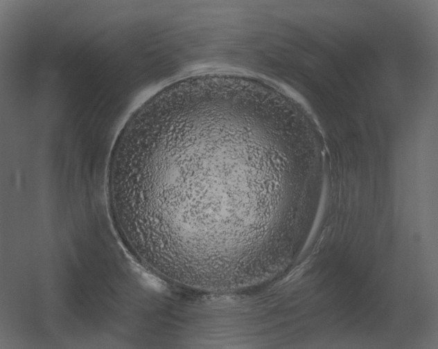 X0000056311231200509021528