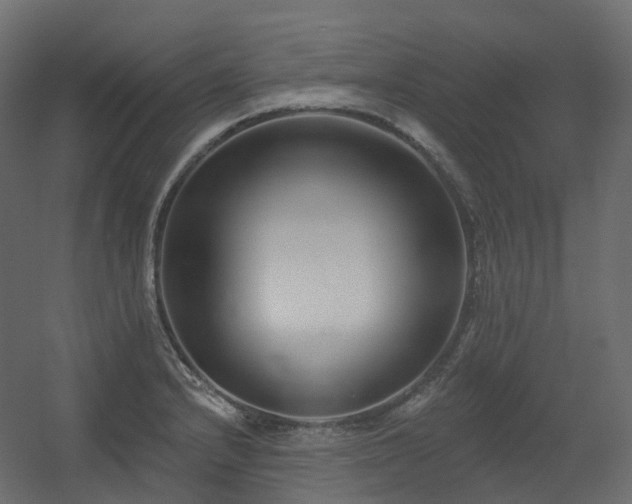 X0000056311232200509021528