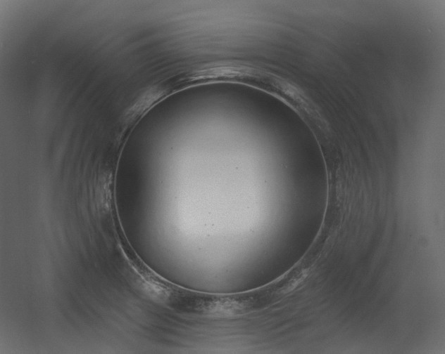 X0000056311233200509021528