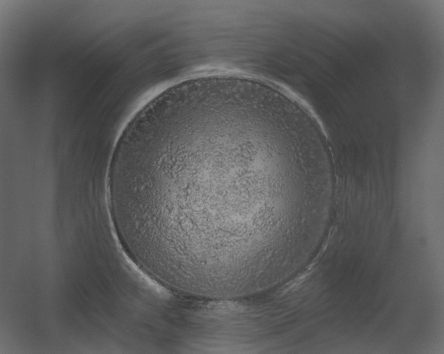 X0000056311239200509021528