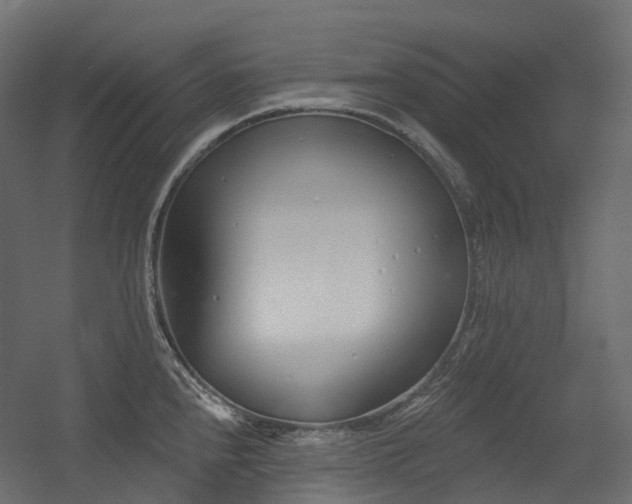 X0000056311240200509021528