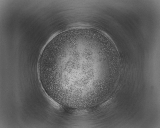 X0000056311243200509021529