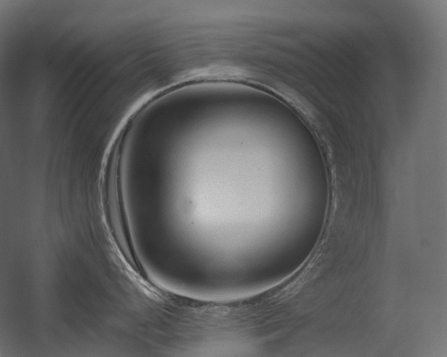 X0000056311248200509021529