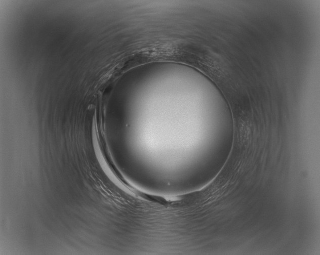 X0000056311250200509021528