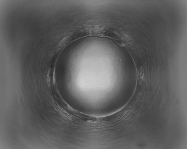 X0000056311252200509021528