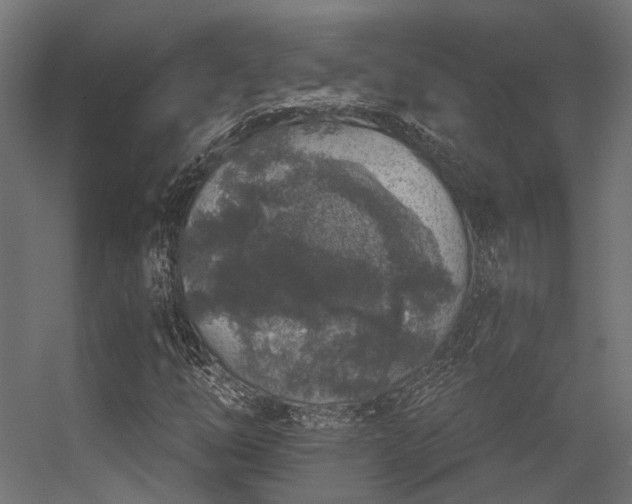 X0000056311254200509021528