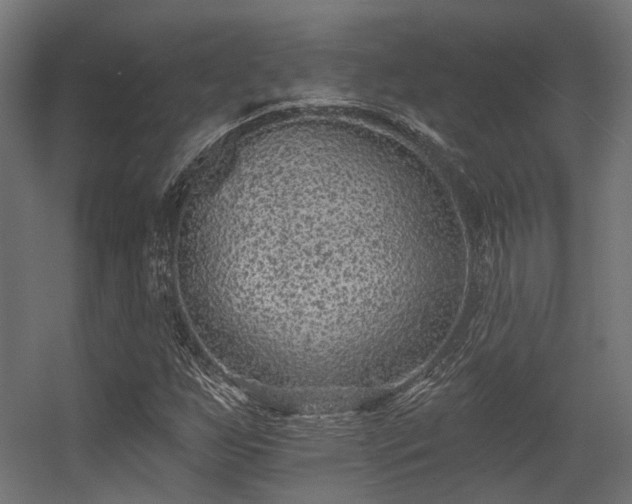 X0000056311255200509021528