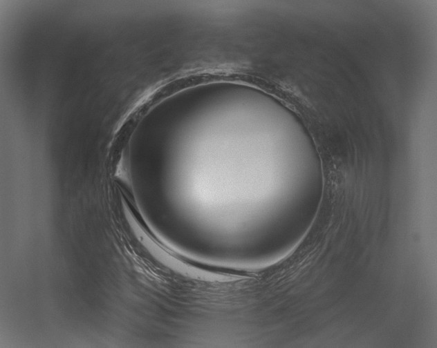 X0000056311256200509021528