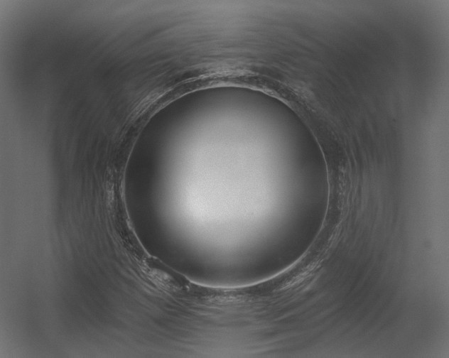 X0000056311257200509021528