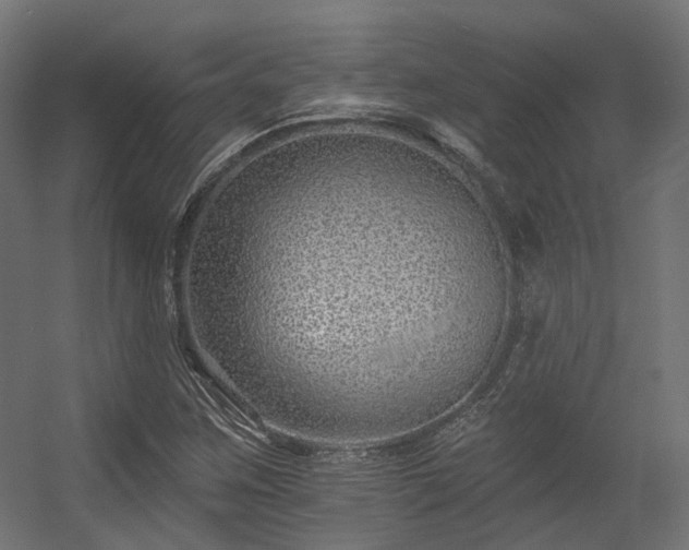 X0000056311259200509021528