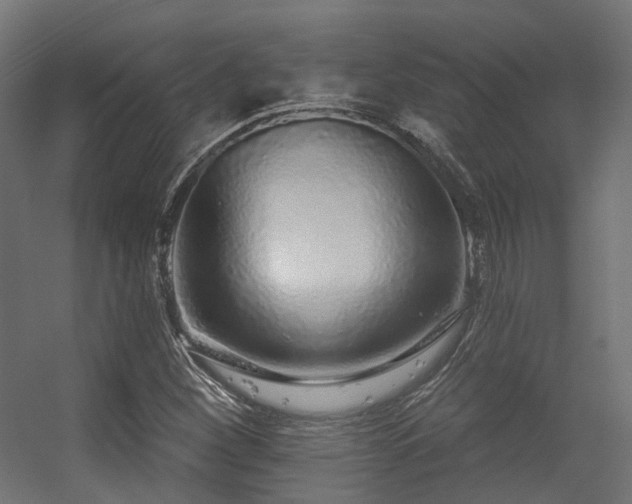 X0000056311260200509021528