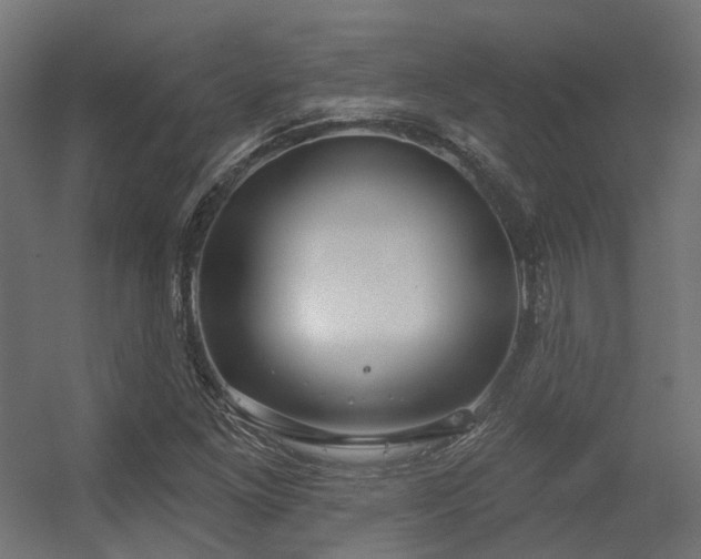 X0000056311261200509021528