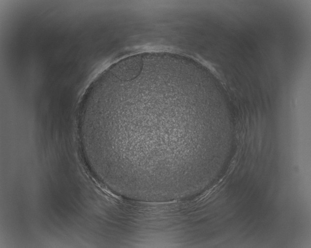 X0000056311263200509021528