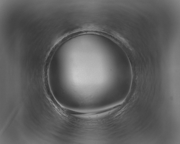 X0000056311264200509021528