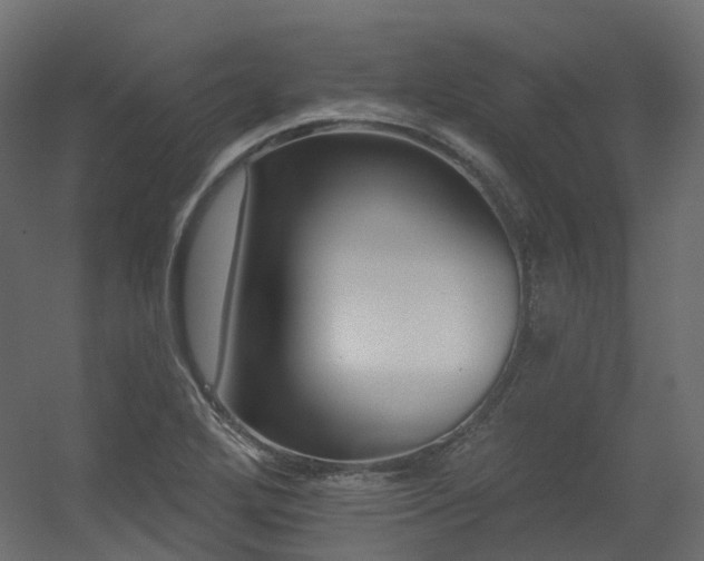 X0000056311272200509021527