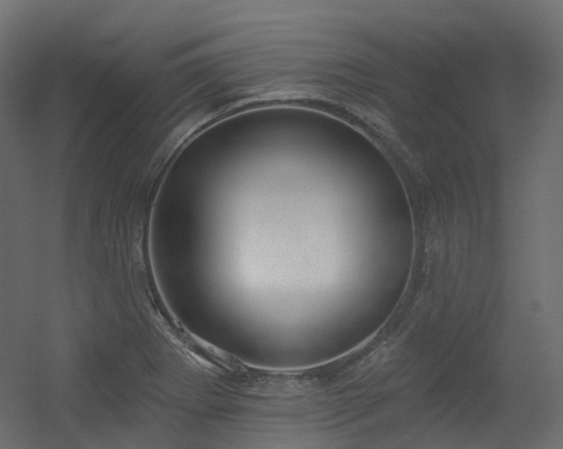 X0000056311273200509021527