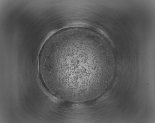 X0000056311275200509021527