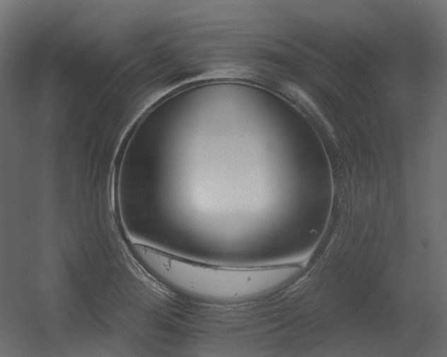 X0000056311276200509021527