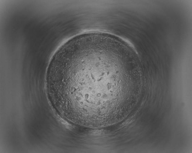 X0000056311279200509021527