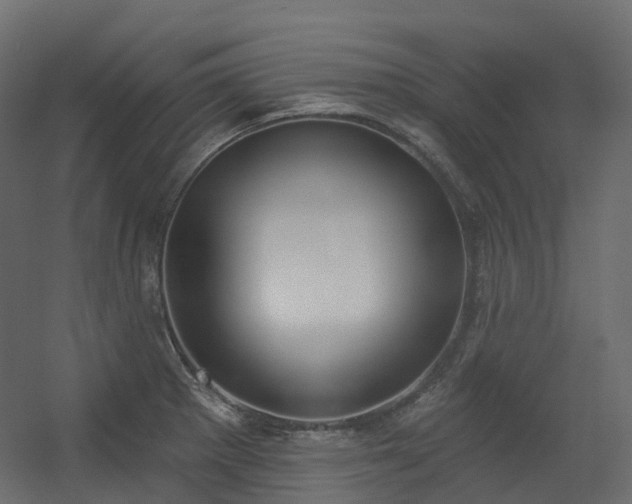 X0000056311281200509021527