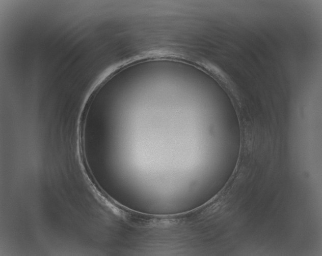 X0000056311286200509021527