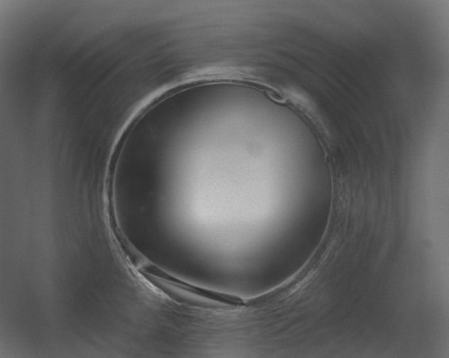 X0000056311288200509021527