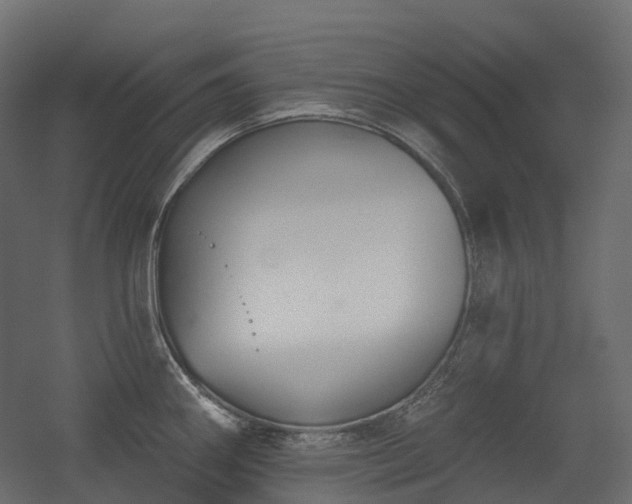 X0000056311290200509021527