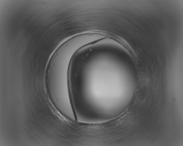 X0000056311292200509021527