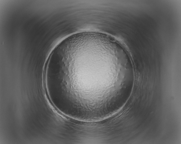 X0000056311295200509021527