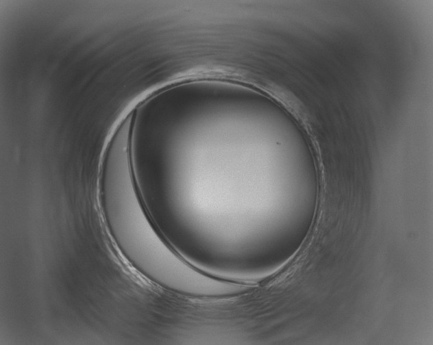 X0000056311296200509021527