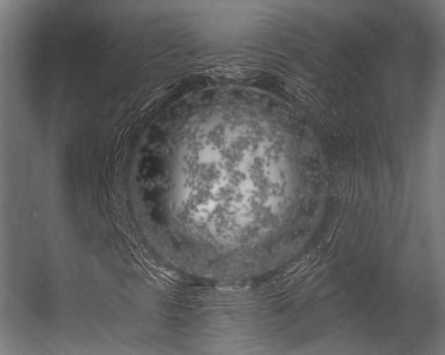 X0000056311297200509021526