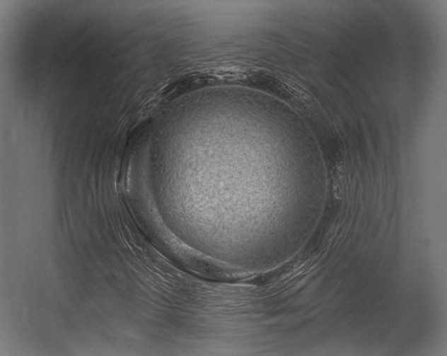 X0000056311298200509021526