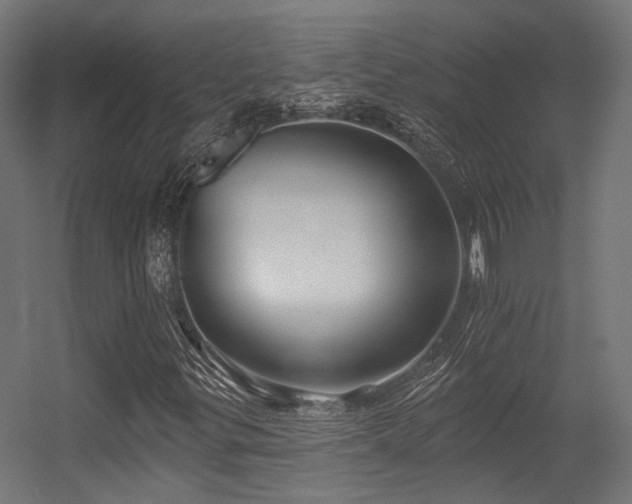X0000056311299200509021526