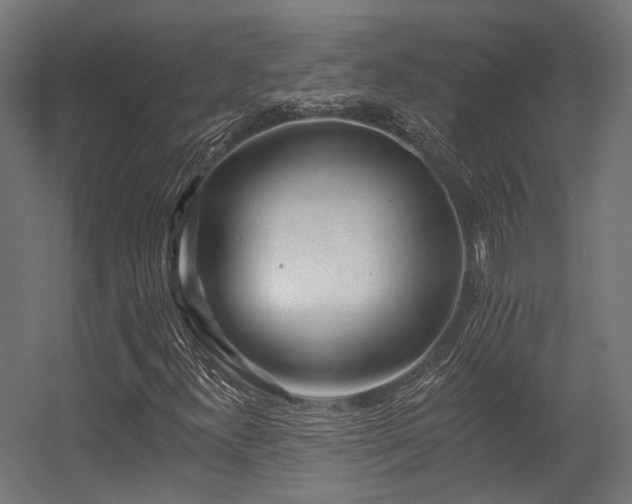 X0000056311300200509021526