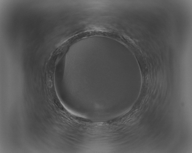 X0000056311303200509021526