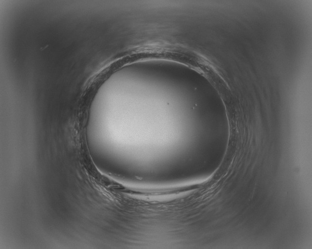 X0000056311304200509021526